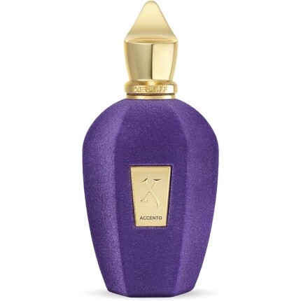 V Collection by Xerjoff Accento Парфюмированная вода-спрей 100 мл
V Collection by Xerjoff Accento Парфюмированная вода-спрей 100 мл