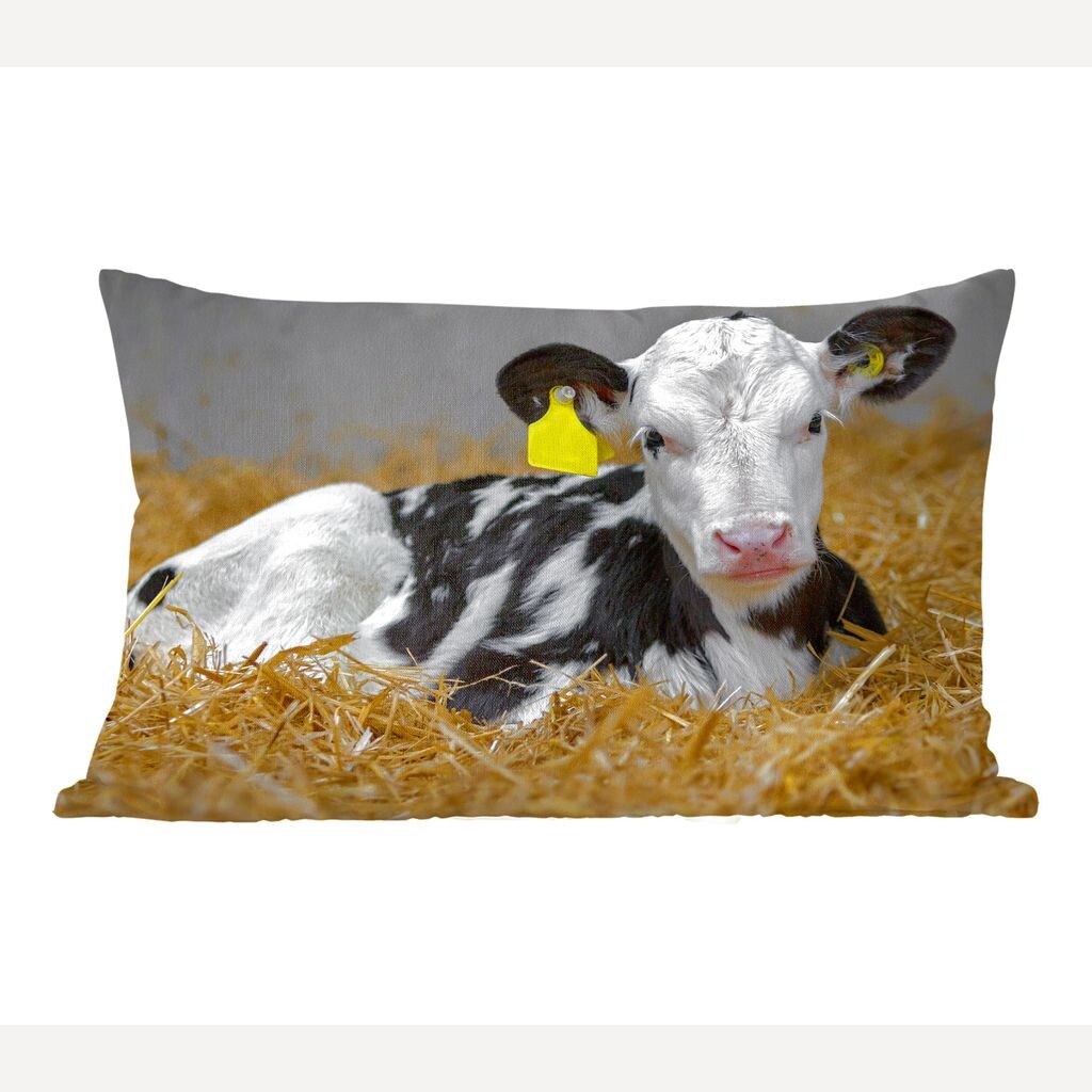 MuchoWow Friesian Cow - Милый теленок фризской коровы в соломе - 50x30 см - Чехлы для диванных подушек - без наполнителя
MuchoWow Friesian Cow - Милый теленок фризской коровы в соломе - 50x30 см - Чехлы для диванных подушек - без наполнителя