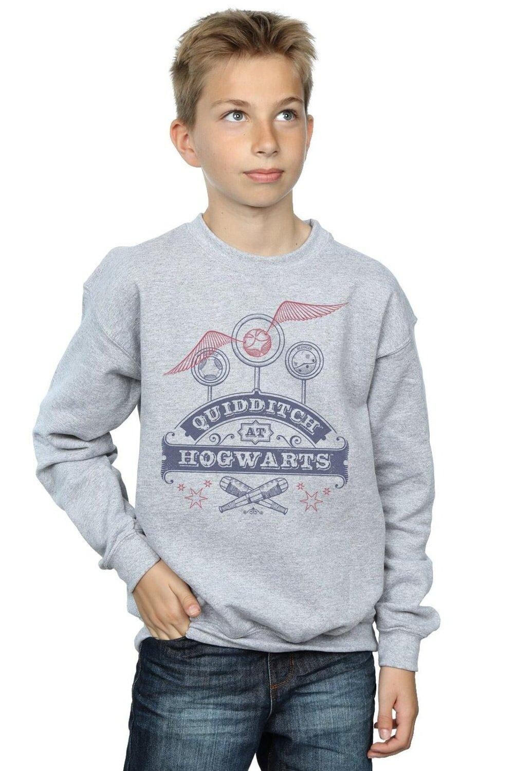 Толстовка для квиддича в Хогвартсе Harry Potter, серый
Толстовка для квиддича в Хогвартсе Harry Potter, серый