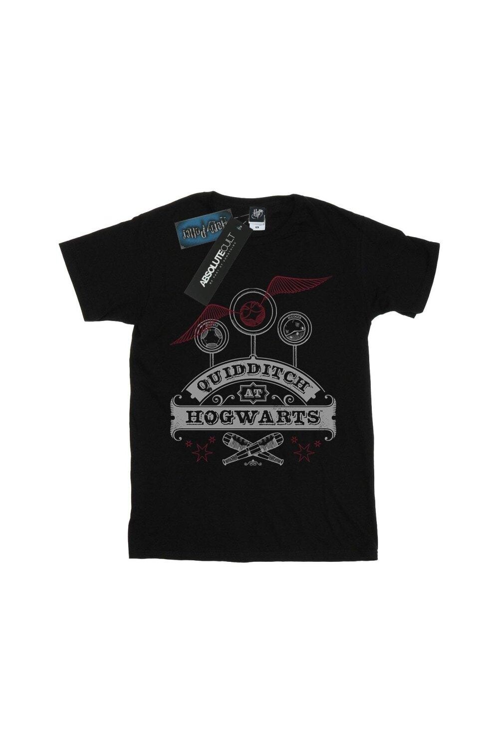 Хлопковая футболка для квиддича в Хогвартсе Harry Potter, черный
Хлопковая футболка для квиддича в Хогвартсе Harry Potter, черный