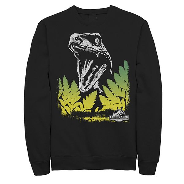 Мужская толстовка Jurassic World Surprise Raptor Licensed Character
Мужская толстовка Jurassic World Surprise Raptor Licensed Character