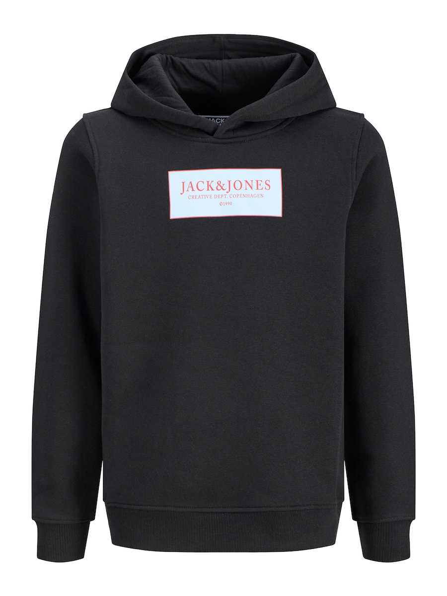 Толстовка Jack & Jones Junior JORGREENE, черный
Толстовка Jack & Jones Junior JORGREENE, черный