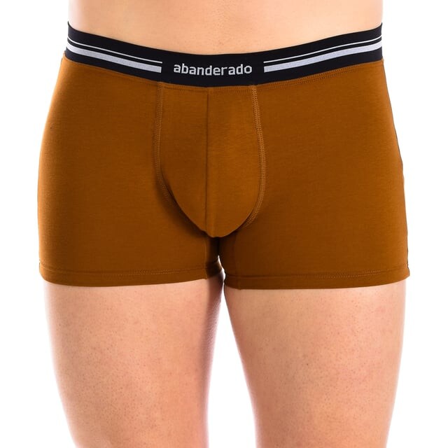 Анатомические мужские боксеры a077i Abanderado, коричневый
Анатомические мужские боксеры a077i Abanderado, коричневый