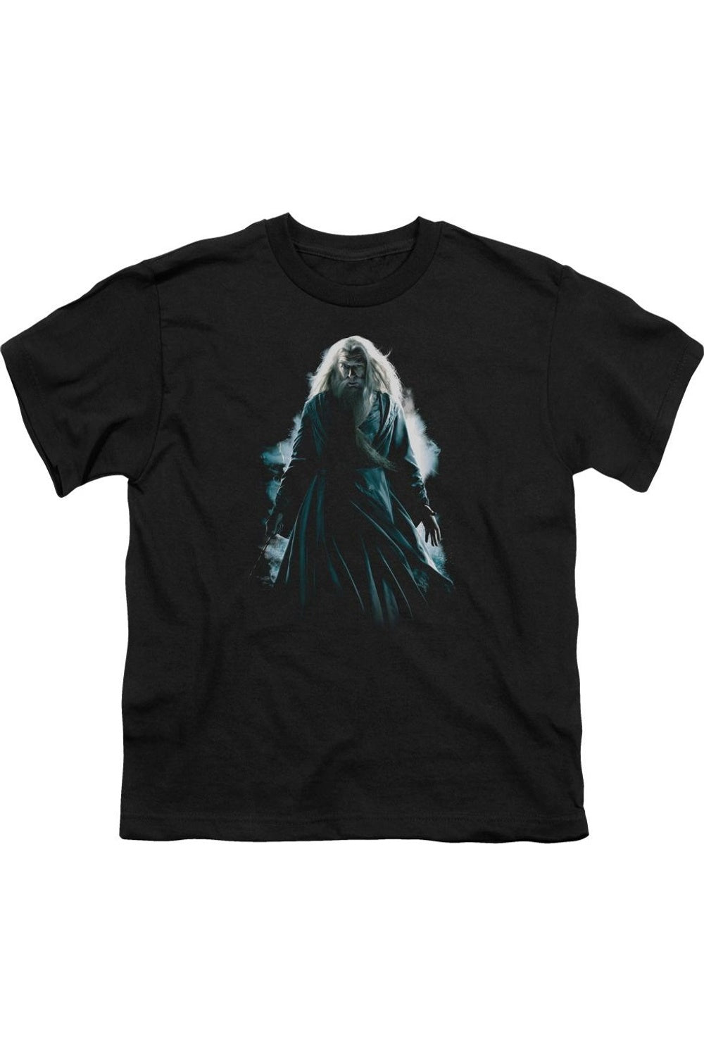 Футболка с Дамблдором из "Гарри Поттера" для детей Gildan, черный
Футболка с Дамблдором из "Гарри Поттера" для детей Gildan, черный