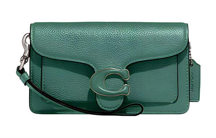 COACH Кожаная сумка через плечо на запястье женская зеленая
COACH Кожаная сумка через плечо на запястье женская зеленая