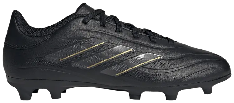 Кроссовки adidas Copa Pure 2 League FG K 'Dark Spark Pack', черный
Кроссовки adidas Copa Pure 2 League FG K 'Dark Spark Pack', черный