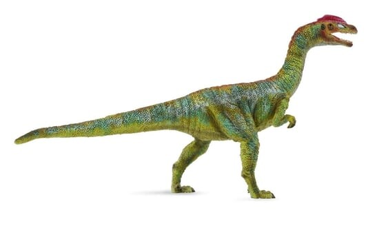 Collecta, Коллекционная фигурка, Динозавр лилиенстернус, размер L
Collecta, Коллекционная фигурка, Динозавр лилиенстернус, размер L