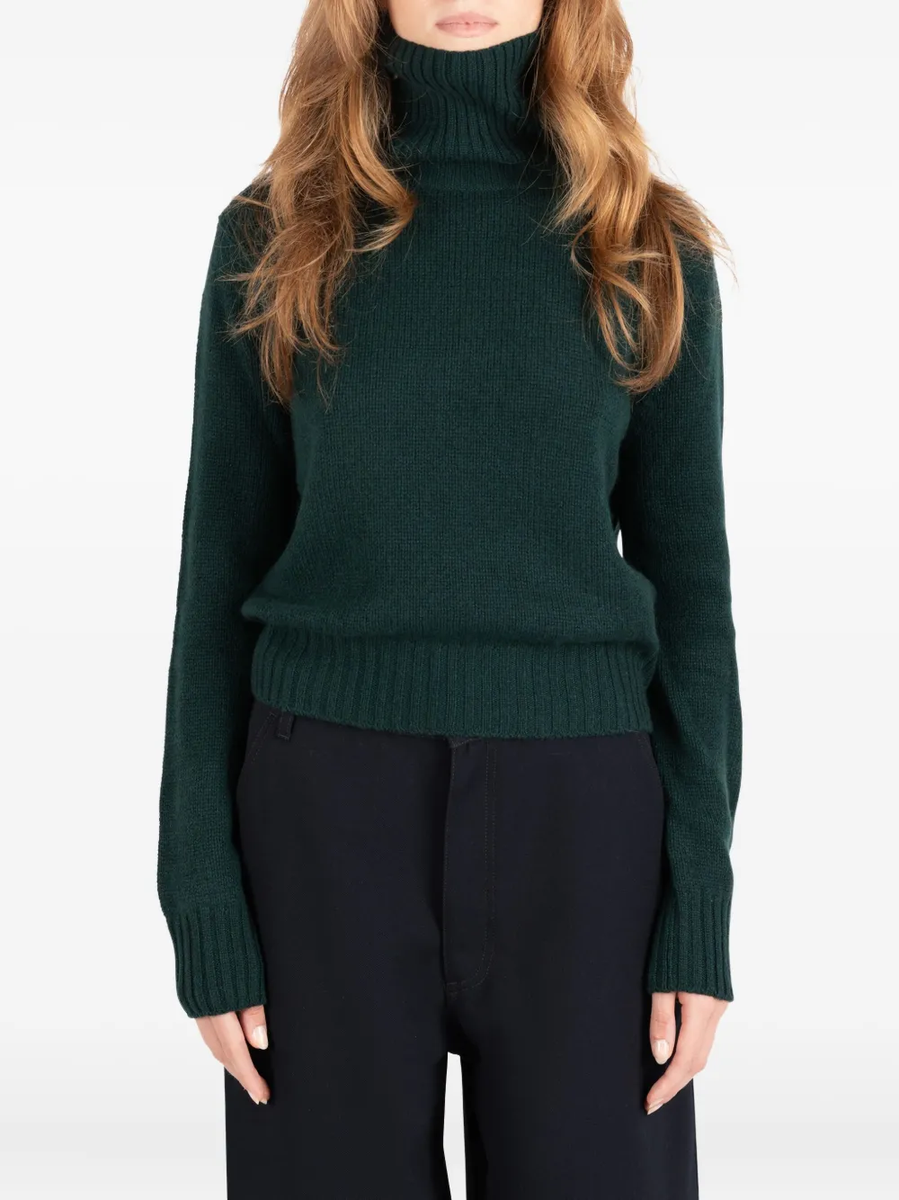 Свитер с воротником-гольф Риз Société Anonyme, зеленый
Свитер с воротником-гольф Риз Société Anonyme, зеленый