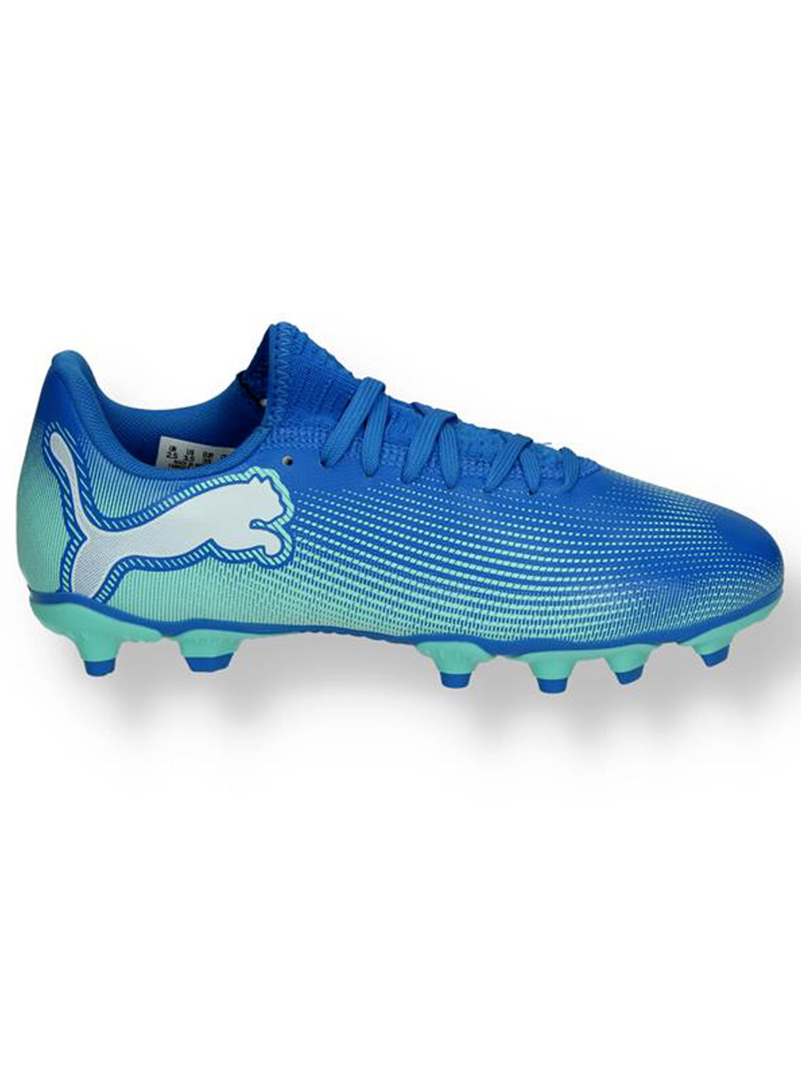 Бутсы scarpa da calcio future 7 play fg/ag Puma, голубой
Бутсы scarpa da calcio future 7 play fg/ag Puma, голубой