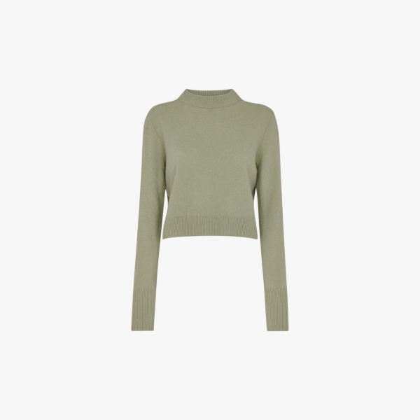Укороченный шерстяной джемпер с круглым вырезом Whistles, зеленый
Укороченный шерстяной джемпер с круглым вырезом Whistles, зеленый