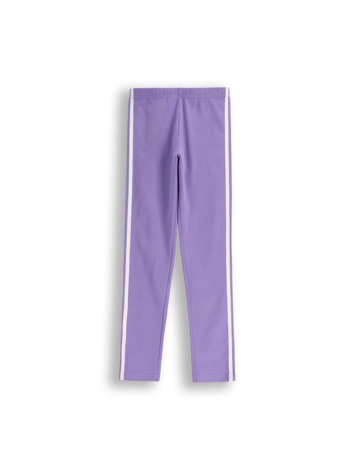 Леггинсы Coccodrillo, фиолетовый
Леггинсы Coccodrillo, фиолетовый