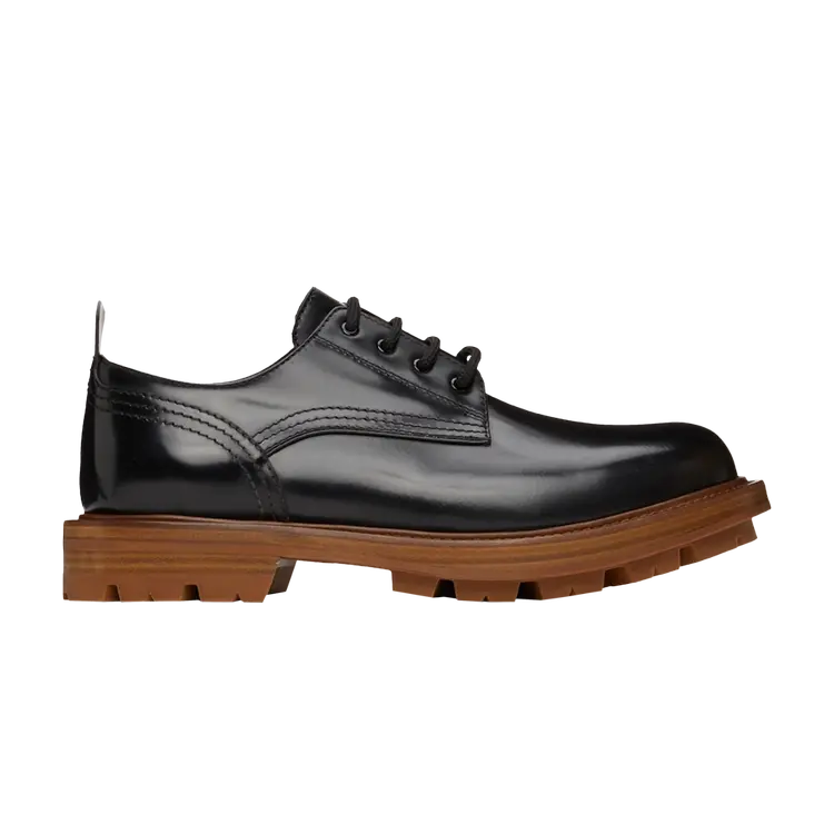Кроссовки Alexander McQueen Shiny Derby Oxfords, черный
Кроссовки Alexander McQueen Shiny Derby Oxfords, черный