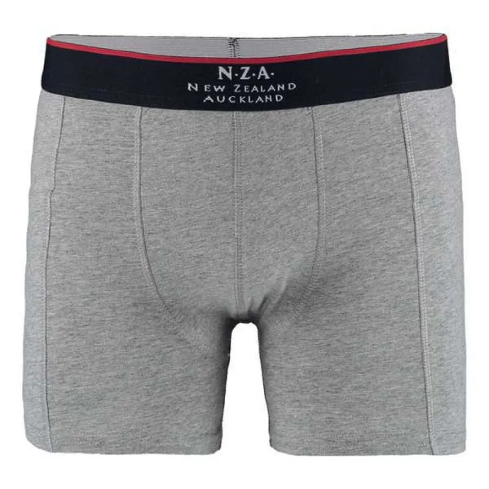 Трусы-боксеры Nza New Zealand Bollons 2 units, серый
Трусы-боксеры Nza New Zealand Bollons 2 units, серый