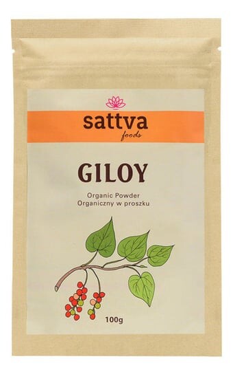 Sattva, Foods Giloy Powder Органический порошок 100 г
Sattva, Foods Giloy Powder Органический порошок 100 г