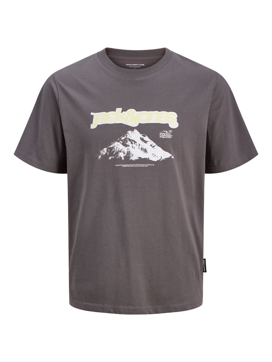 Рубашка JACK & JONES JJCoflare, серый
Рубашка JACK & JONES JJCoflare, серый