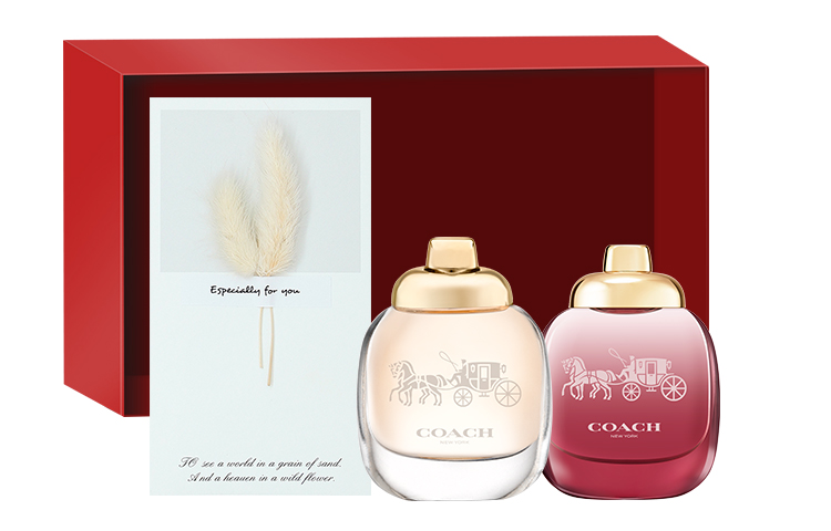 Набор духов для женщин COACH
Набор духов для женщин COACH