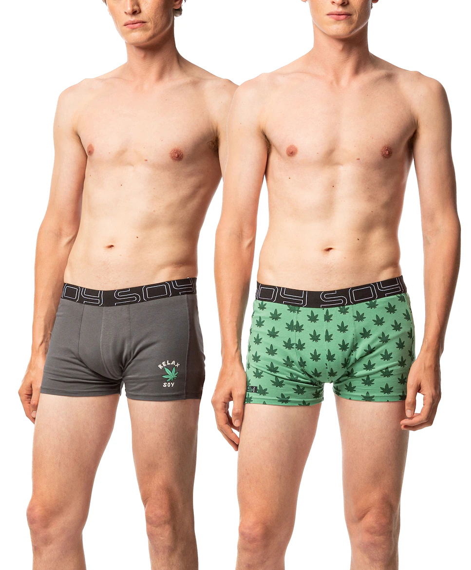 Набор из 2 мужских боксеров из трикотажа, разные цвета SOY, серый
Набор из 2 мужских боксеров из трикотажа, разные цвета SOY, серый