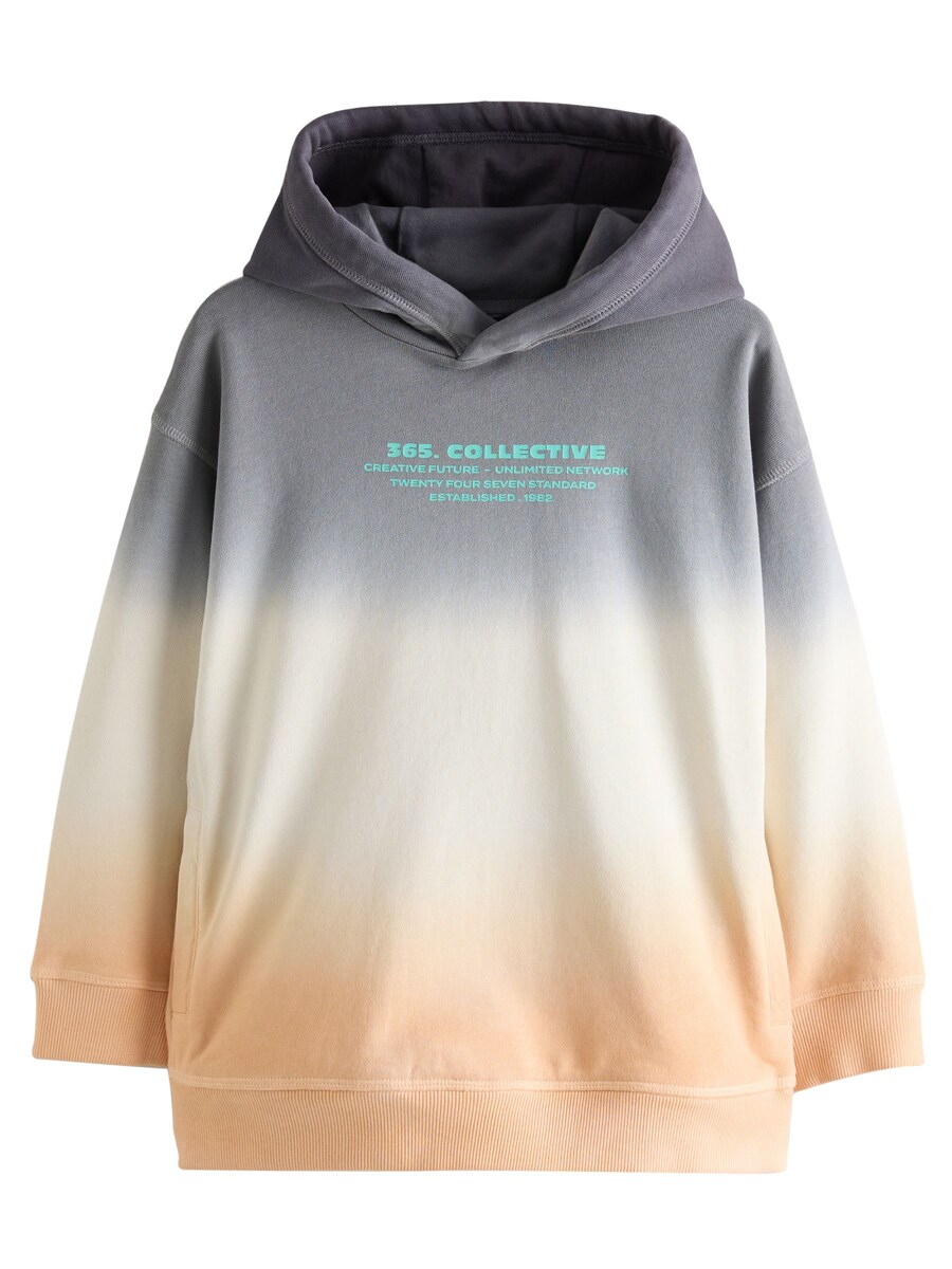 Толстовка Next, разноцветный
Толстовка Next, разноцветный