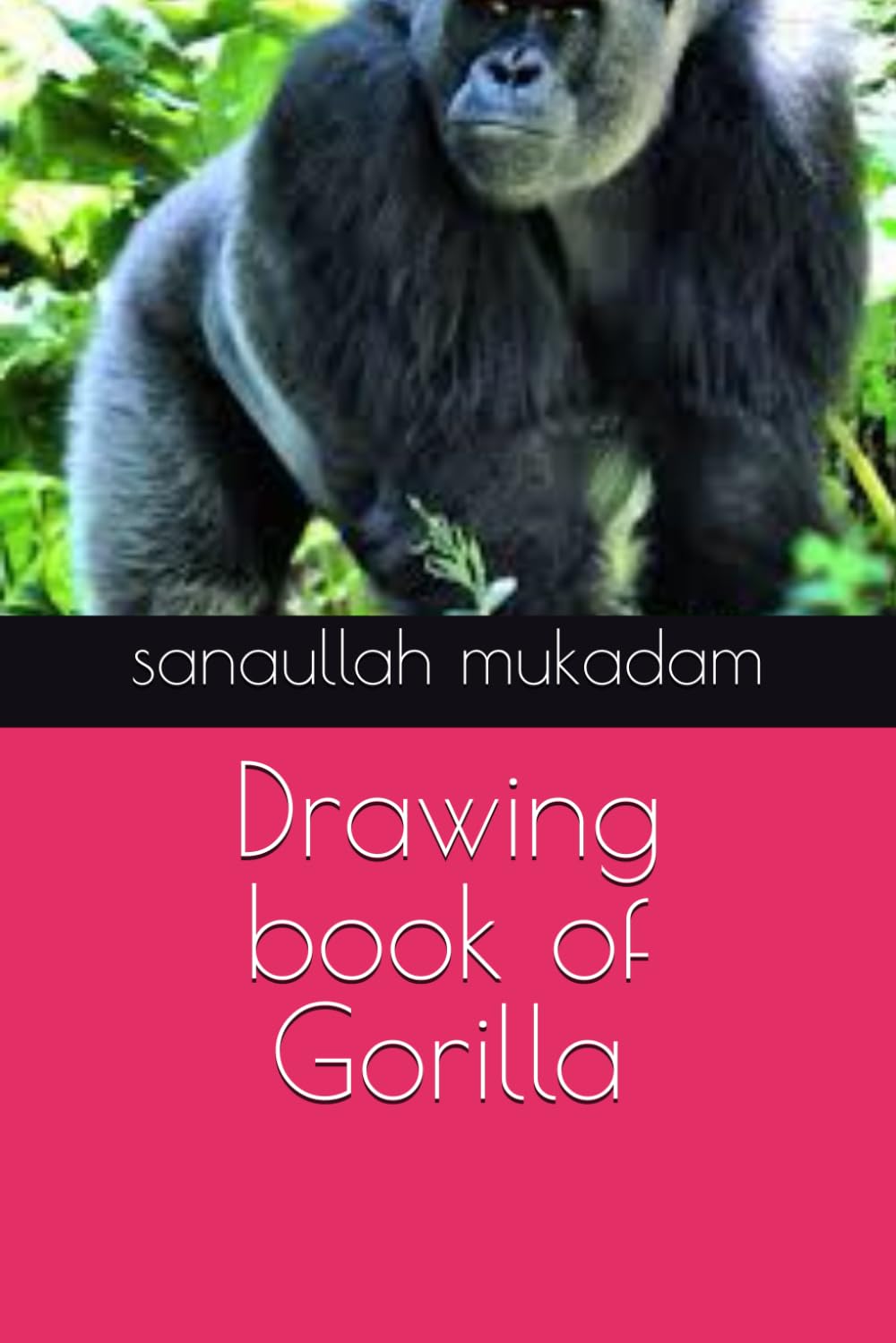 Drawing book of Gorilla
Drawing book of Gorilla
