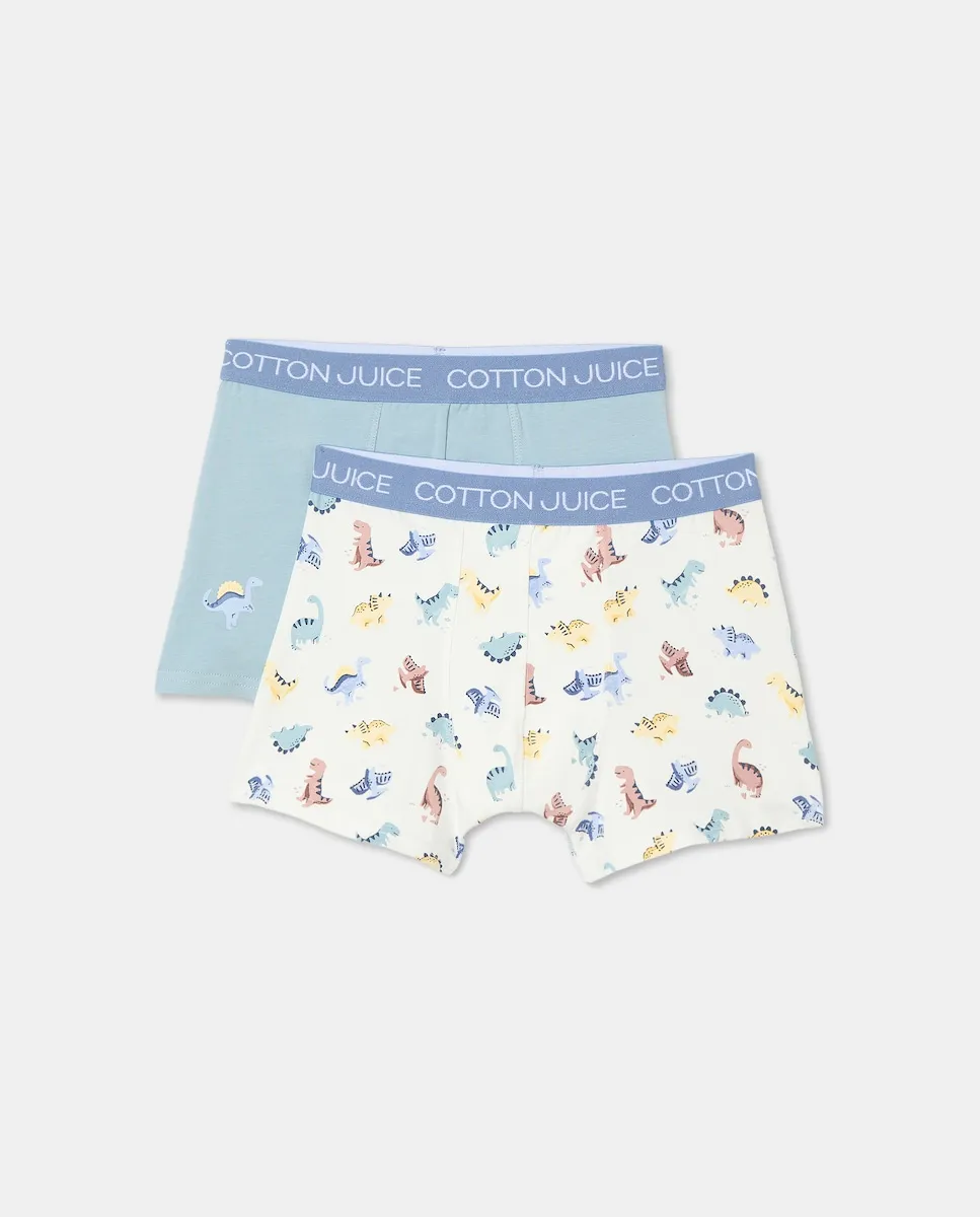 Комплект из двух детских боксеров Cotton Juice, мультиколор
Комплект из двух детских боксеров Cotton Juice, мультиколор