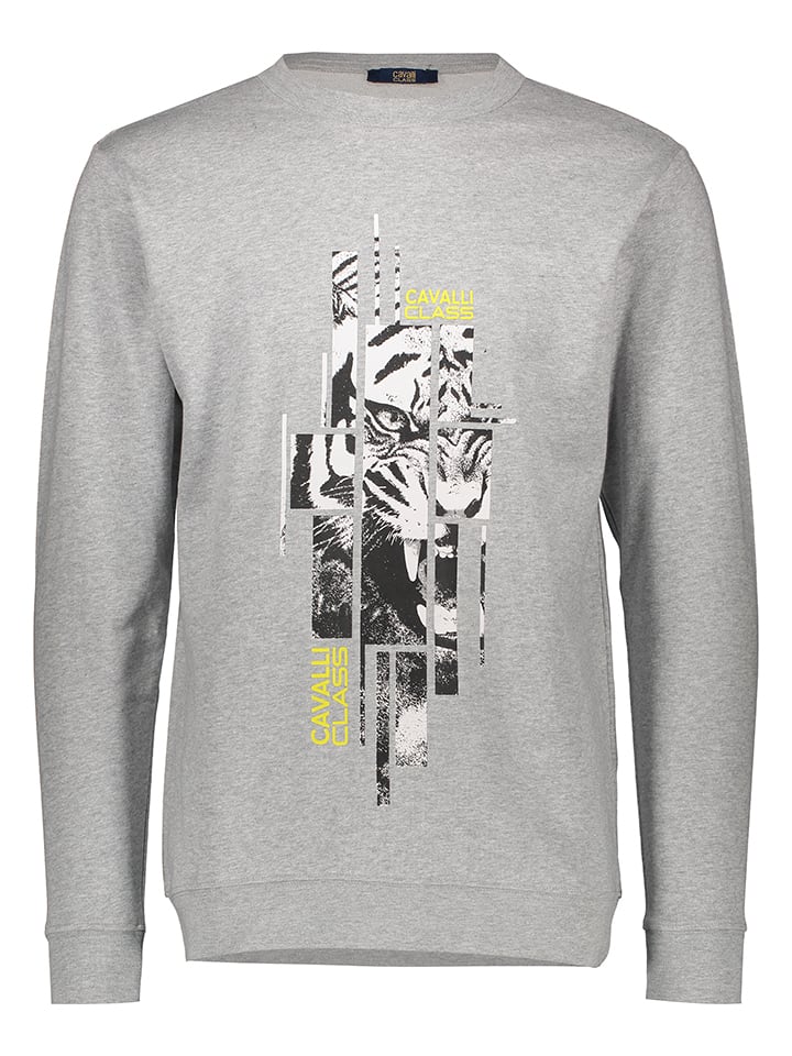 Толстовка cavalli CLASS, серый
Толстовка cavalli CLASS, серый