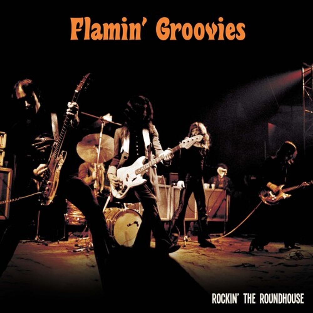 Диск CD Rockin' The Roundhouse - The Flamin' Groovies
Диск CD Rockin' The Roundhouse - The Flamin' Groovies