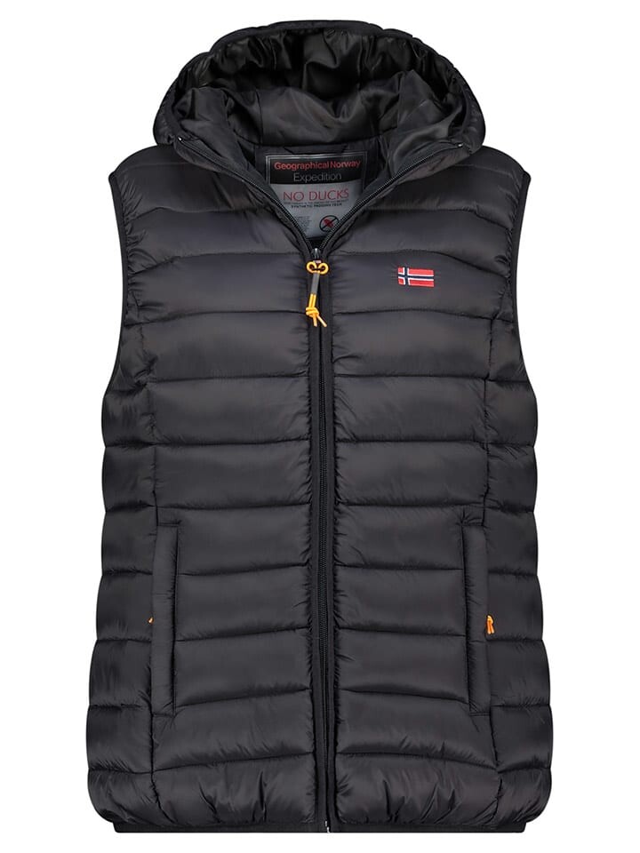 Стеганый жилет Geographical Norway Steppweste Vatikolor, черный
Стеганый жилет Geographical Norway Steppweste Vatikolor, черный