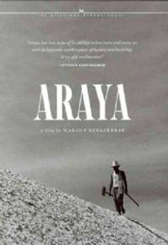 Диск DVD Araya
Диск DVD Araya