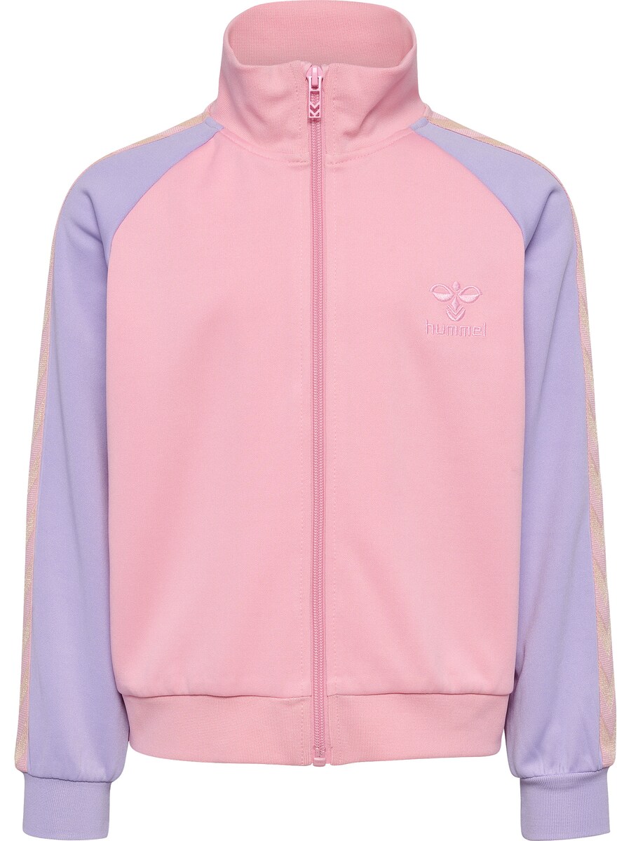 Толстовка с капюшоном на молнии Hummel Daily, розовый
Толстовка с капюшоном на молнии Hummel Daily, розовый