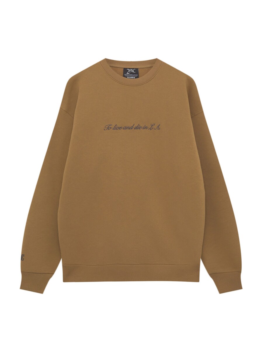 Толстовка Pull&Bear, цвет Brocade
Толстовка Pull&Bear, цвет Brocade