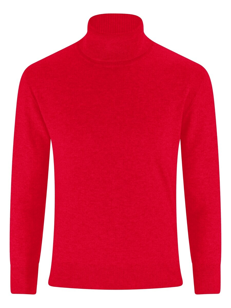 Водолазка CASH-MERE.CH Sweater, цвет light red
Водолазка CASH-MERE.CH Sweater, цвет light red