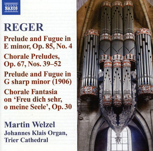 CD диск Reger / Welzel: Reger 10: Organ Works
CD диск Reger / Welzel: Reger 10: Organ Works
