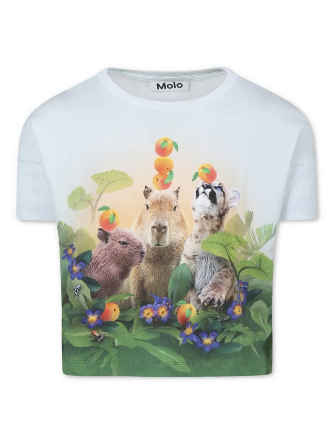 Футболка с графическим принтом Molo, синий
Футболка с графическим принтом Molo, синий