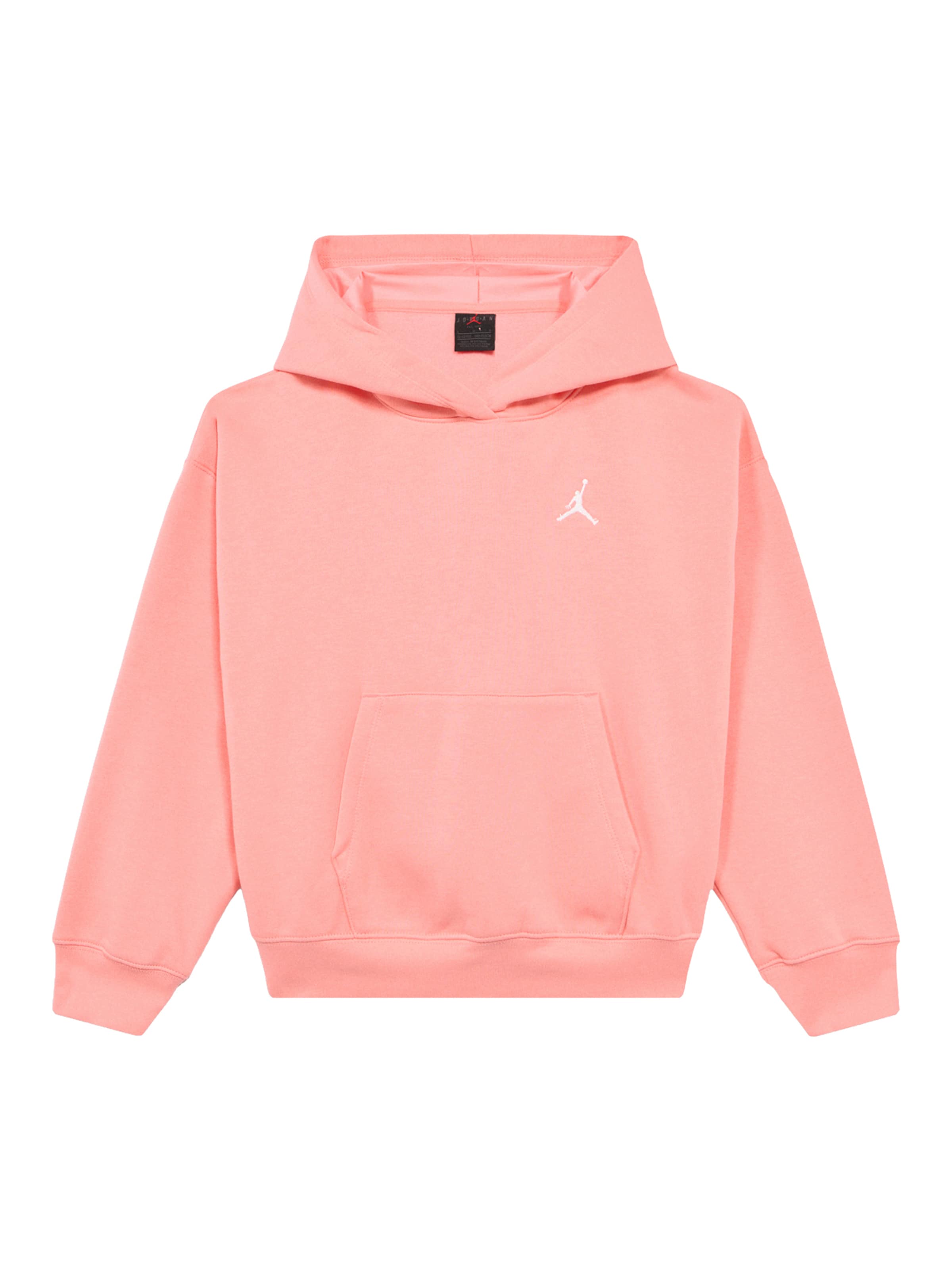 Jordan Толстовка 'BRKN FLC' в цвете Rose
Jordan Толстовка 'BRKN FLC' в цвете Rose