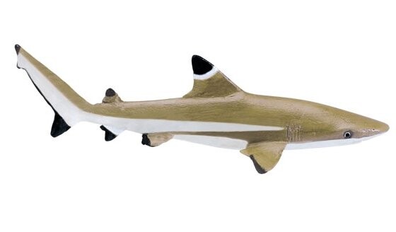 Safari Ltd 200029 Черноперая рифовая акула 14,5х4см
Safari Ltd 200029 Черноперая рифовая акула 14,5х4см