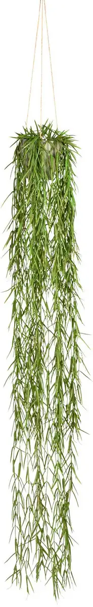 Искусственный зеленый усик Creativ "Tillandsia aeranthos в подвесном горшке", в пластиковом подвесном горшке Creativ green 12х120 см, зеленый
Искусственный зеленый усик Creativ "Tillandsia aeranthos в подвесном горшке", в пластиковом подвесном горшке Creativ green 12х120 см, зеленый