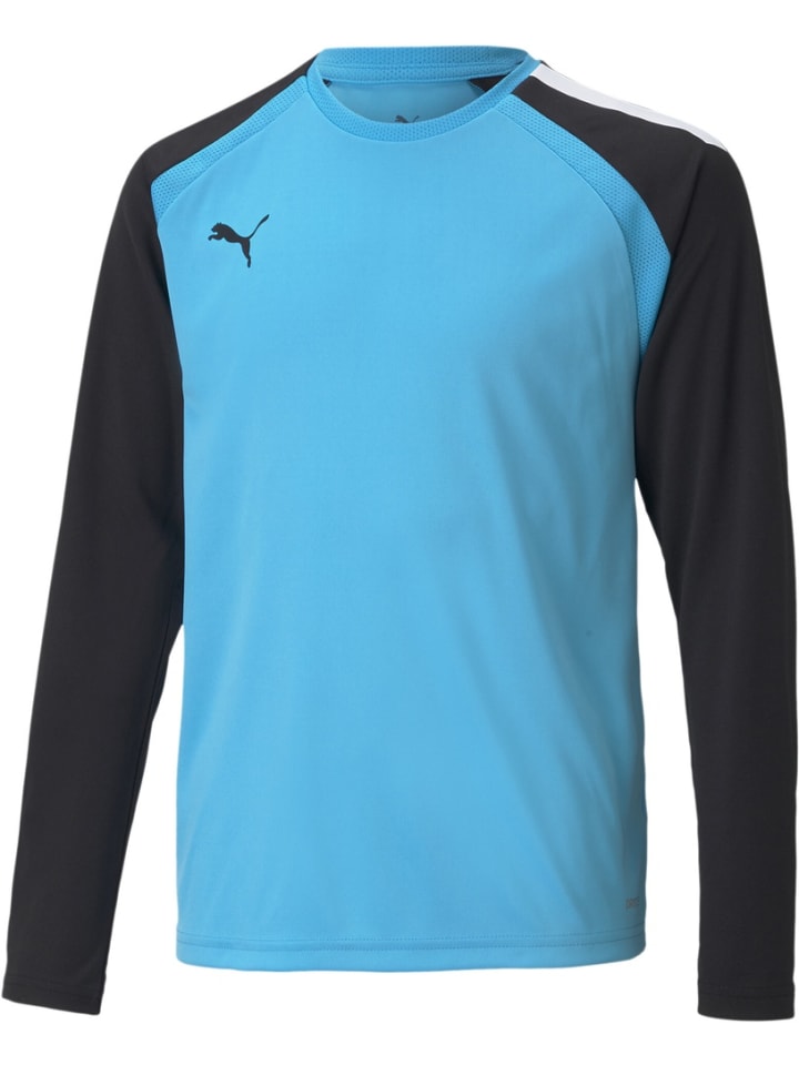 Спортивная футболка TeamPACER GK Longsleeve Jersey Jr синего цвета Puma
Спортивная футболка TeamPACER GK Longsleeve Jersey Jr синего цвета Puma