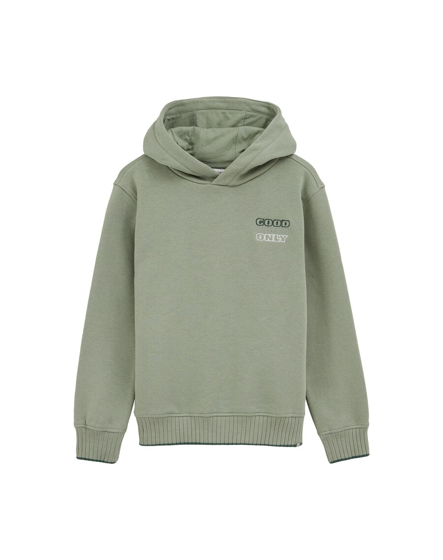 Толстовка WE Fashion, Light green/Dark green
Толстовка WE Fashion, Light green/Dark green