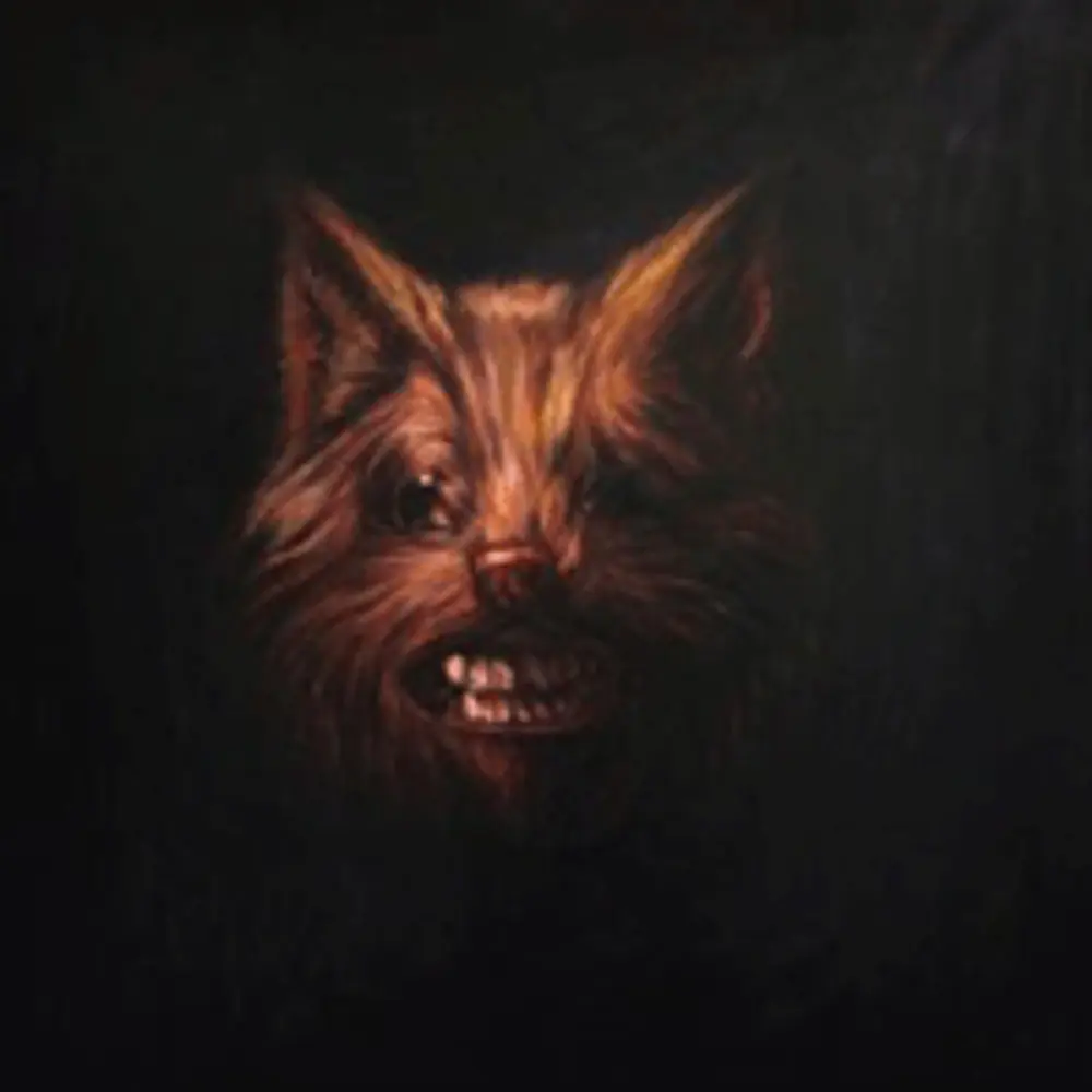 Диск CD The Seer - Swans
Диск CD The Seer - Swans