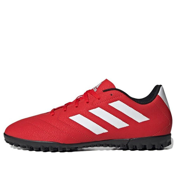 Кроссовки goletto vii tf Adidas, красный
Кроссовки goletto vii tf Adidas, красный