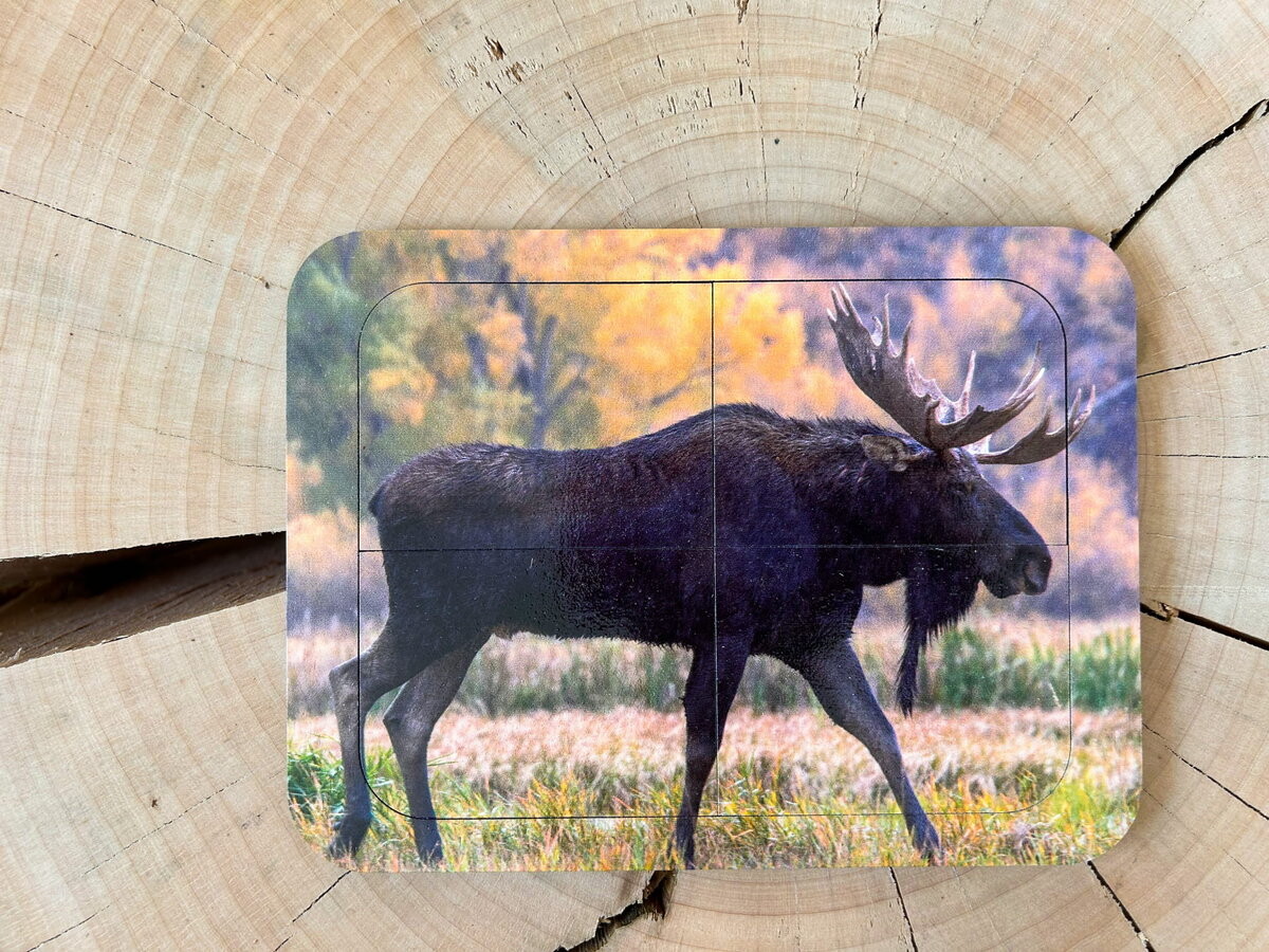 Лось, деревянный пазл с четырьмя элементами, основа с подписью, первый пазл Inna marka
Лось, деревянный пазл с четырьмя элементами, основа с подписью, первый пазл Inna marka