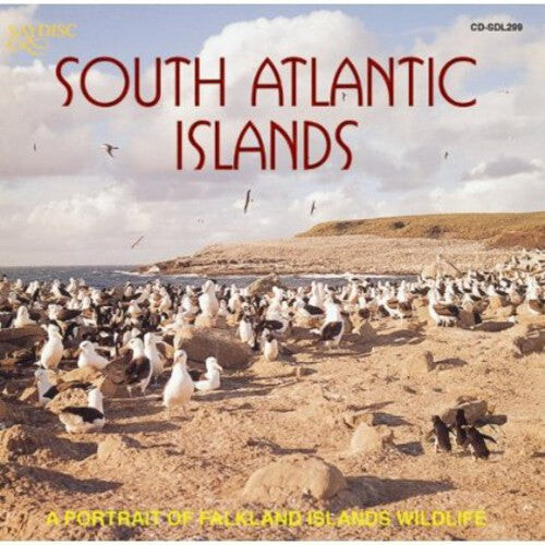 CD диск South Atlantic Islands: Portrait Falkland / Var: South Atlantic Islands: A Portrait Of Falkland Islands Wildlife
CD диск South Atlantic Islands: Portrait Falkland / Var: South Atlantic Islands: A Portrait Of Falkland Islands Wildlife