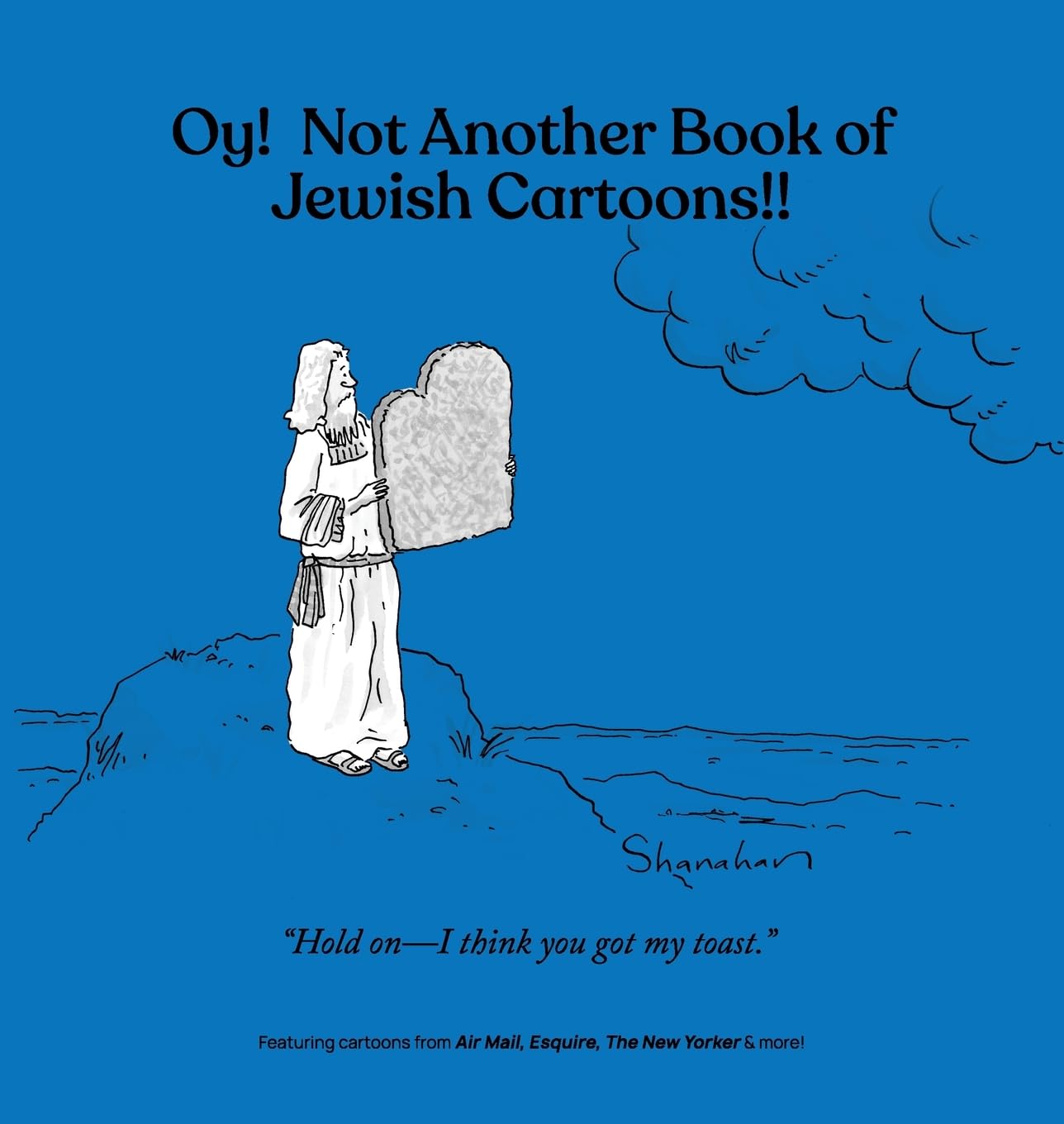 Oy! Not Another Book of Jewish Cartoons!! (Cartoonstock)
Oy! Not Another Book of Jewish Cartoons!! (Cartoonstock)