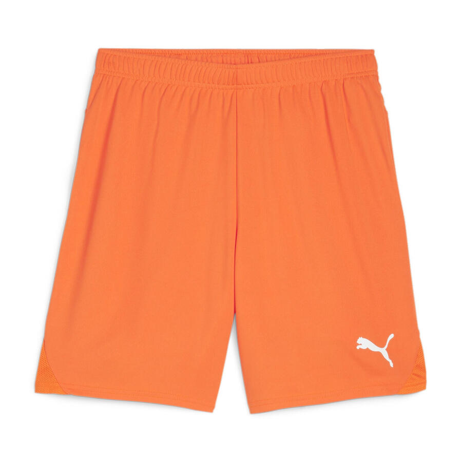 Шорты Puma мужские teamGOAL 705752
Шорты Puma мужские teamGOAL 705752