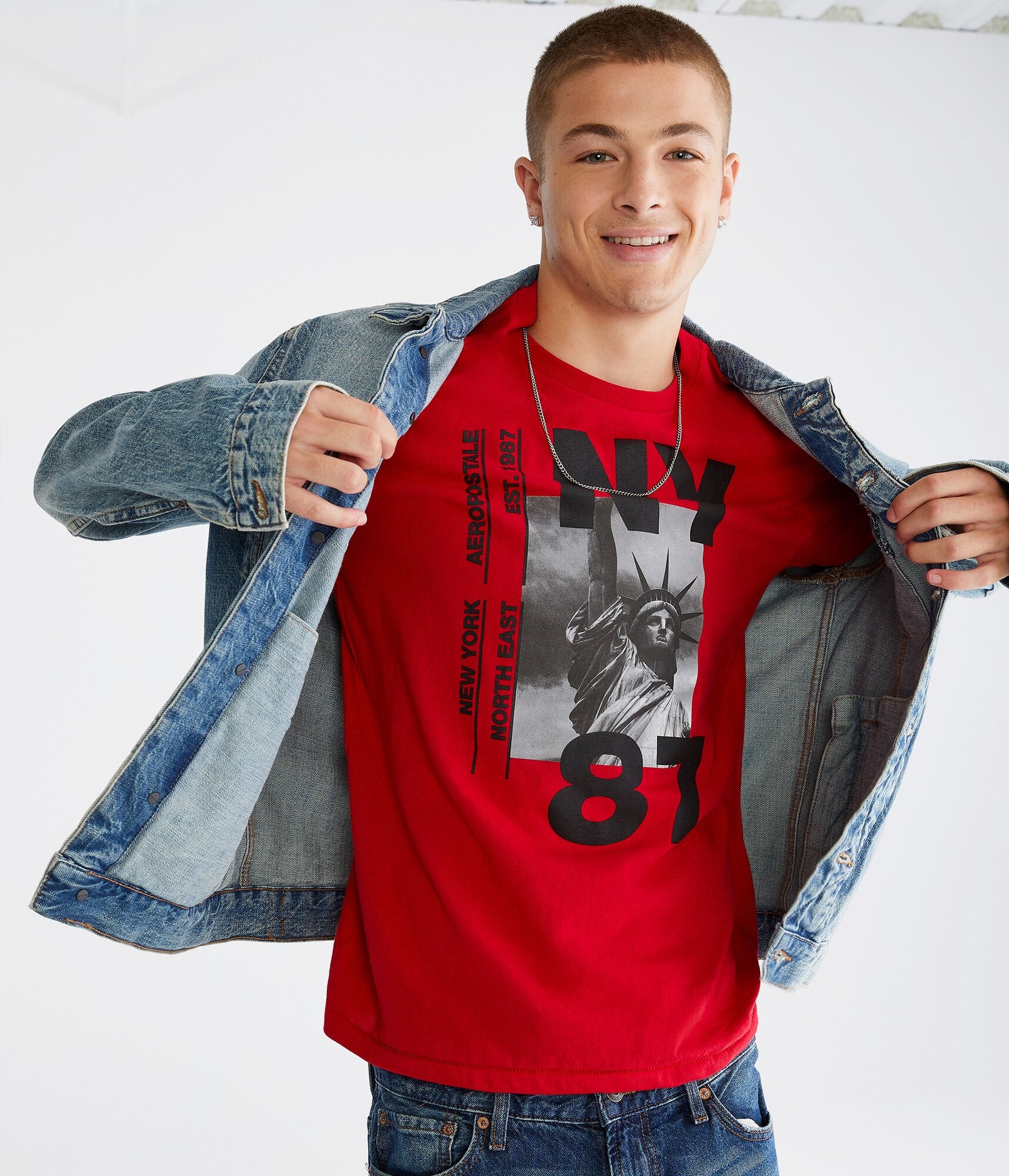 Футболка мужская Aeropostale с принтом Статуи Свободы, красный
Футболка мужская Aeropostale с принтом Статуи Свободы, красный