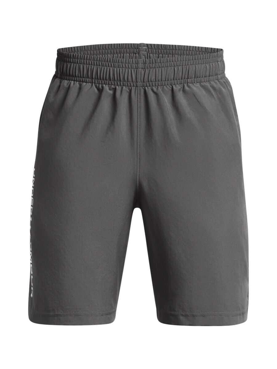 Спортивные брюки UNDER ARMOUR Regular Workout Pants Tech Woven Wordmark, серый
Спортивные брюки UNDER ARMOUR Regular Workout Pants Tech Woven Wordmark, серый