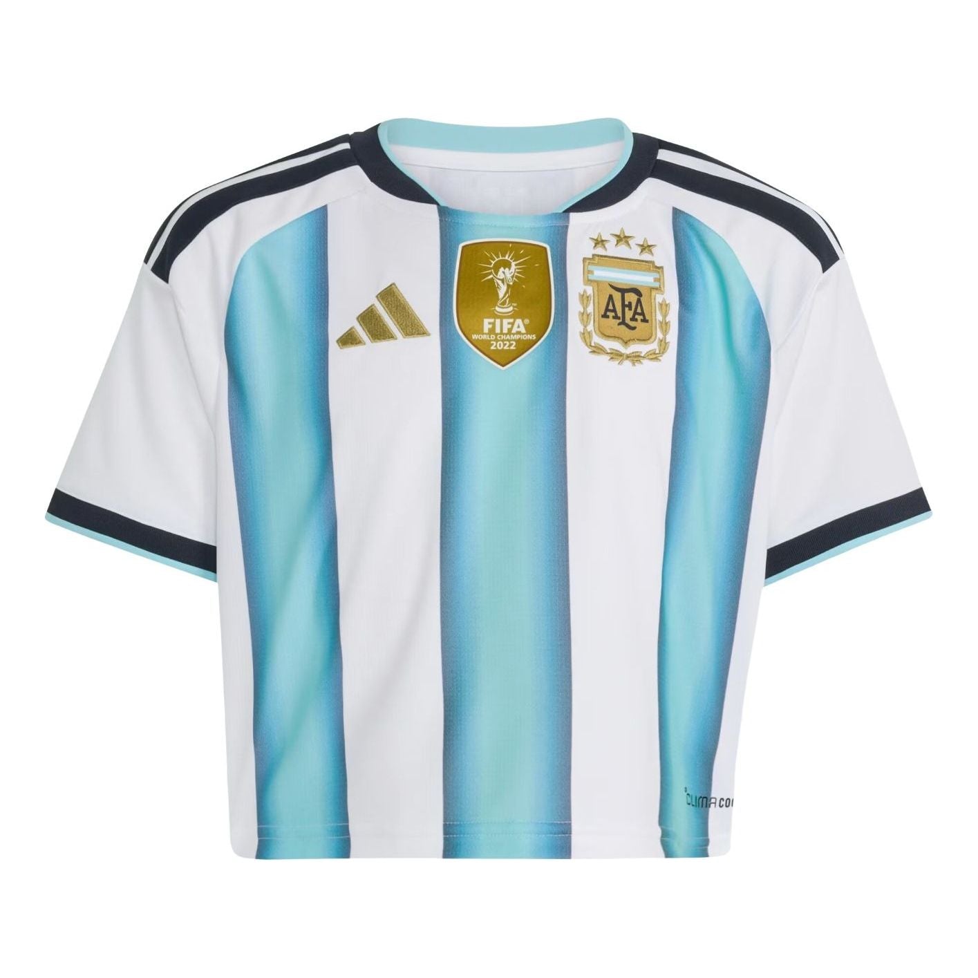 (WMNS) Домашняя укороченная футболка Adidas Argentina 26, цвет «Белый, ледяной, светло-голубой»
(WMNS) Домашняя укороченная футболка Adidas Argentina 26, цвет «Белый, ледяной, светло-голубой»