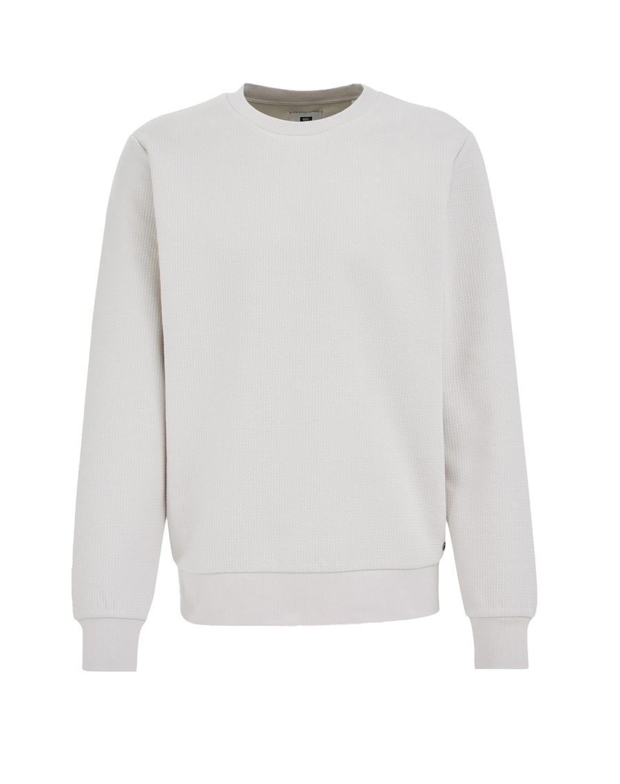 Толстовка WE Fashion, светло-серый
Толстовка WE Fashion, светло-серый