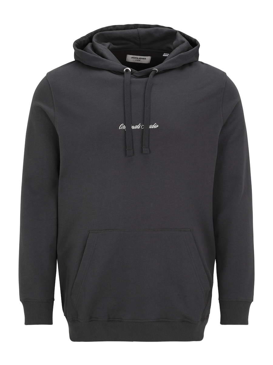 Толстовка Jack & Jones Plus JORNORREBRO, серый
Толстовка Jack & Jones Plus JORNORREBRO, серый