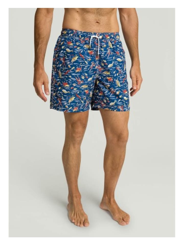 Hackett London Разноцветные плавки
Hackett London Разноцветные плавки